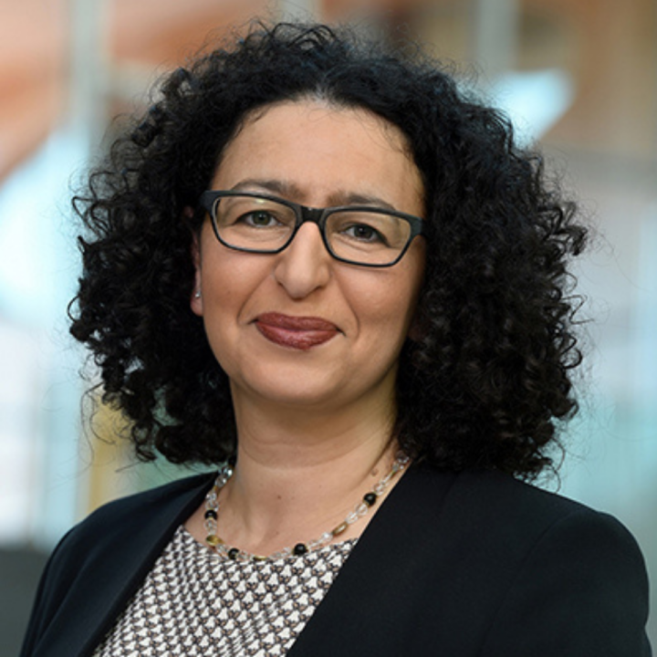 Prof. Dr.-Ing. Lamia Messari-Becker